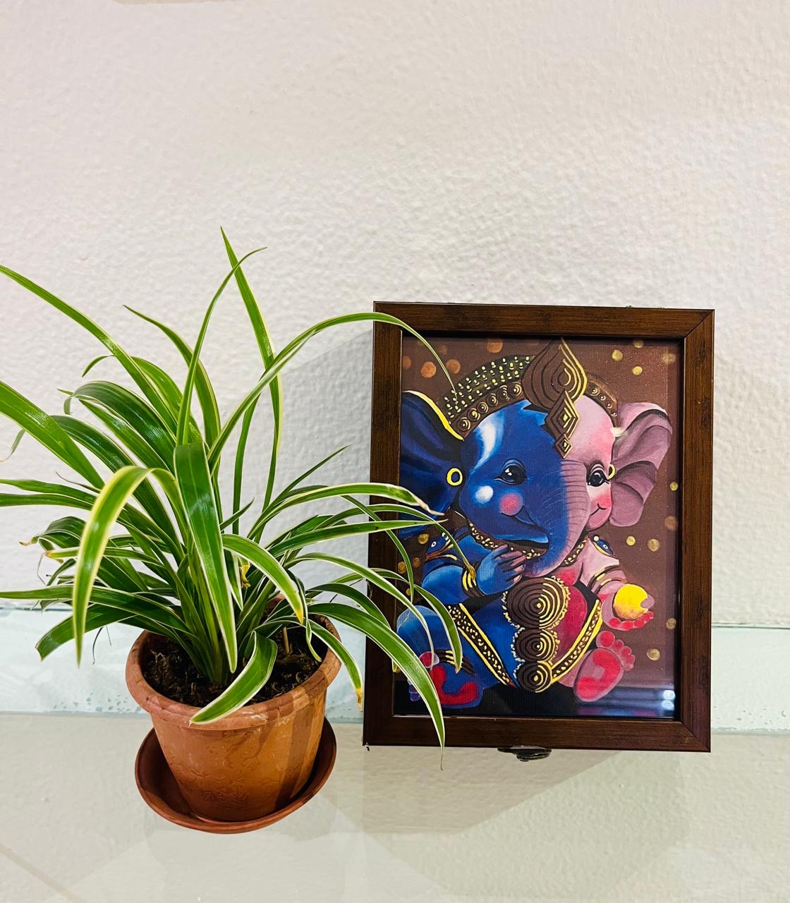 Jewellery/ multipurpose box