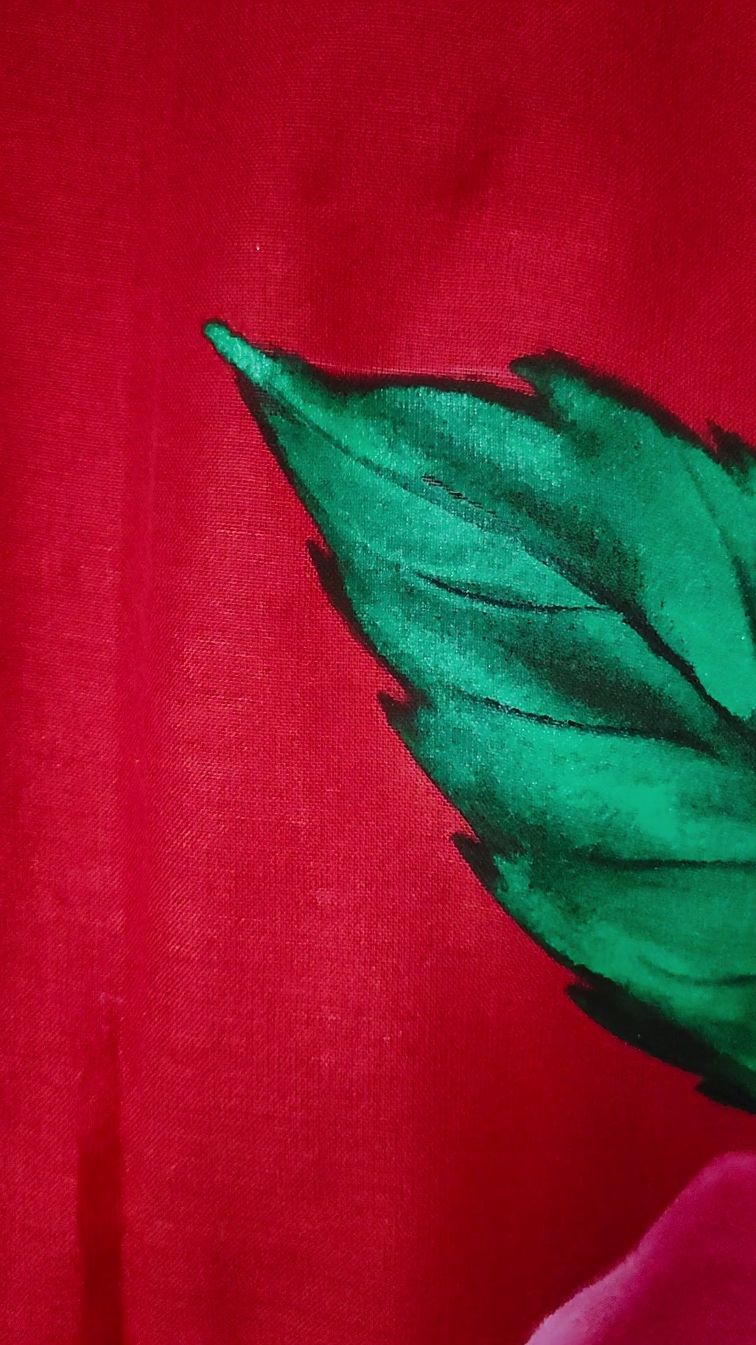Red coloured handloom saree : “The Rose Rebellion”