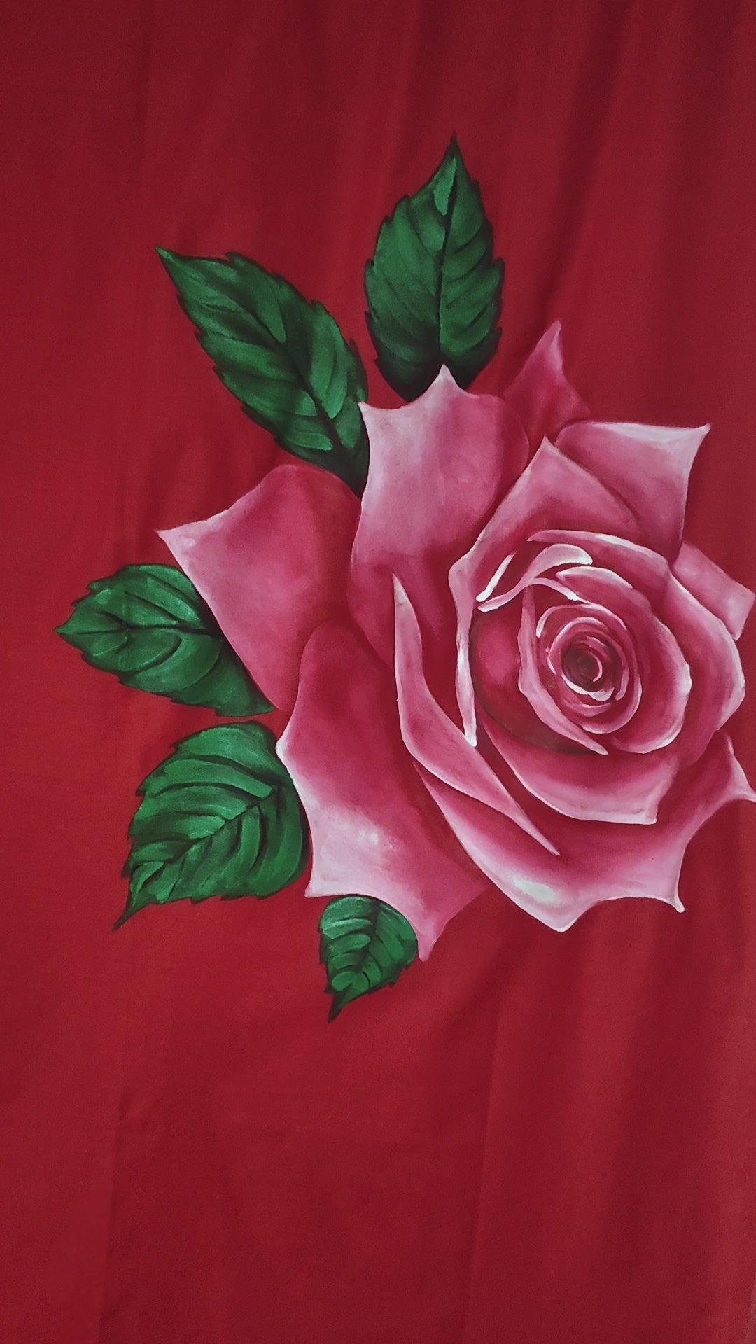 Red coloured handloom saree : “The Rose Rebellion”